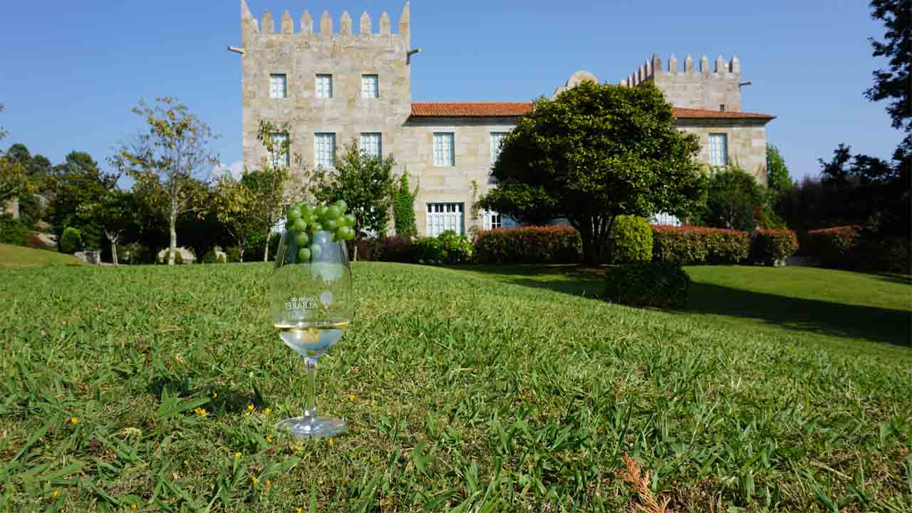 Take advantage of Christmas to give wine tourism plans as a gift