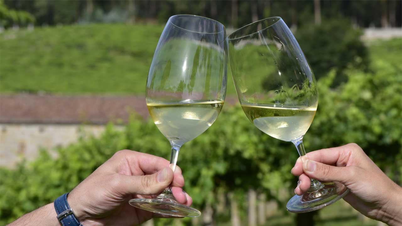 Todo lo que debe saber sobre el vino albariño