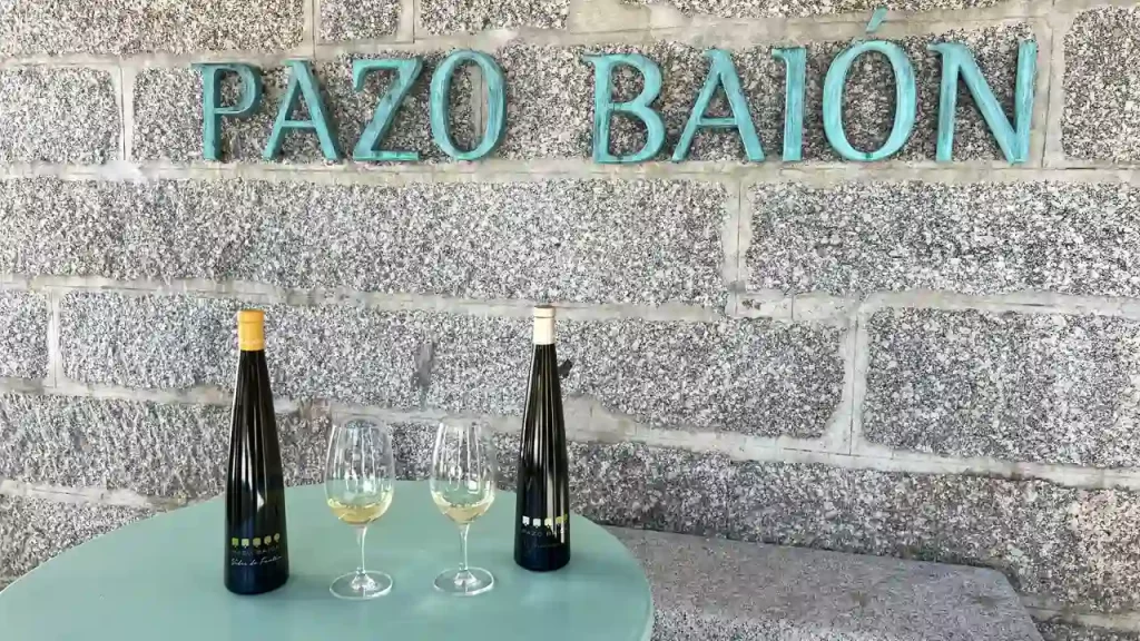 Finish an unforgettable wine tourism experience at Pazo Baión tasting our wines