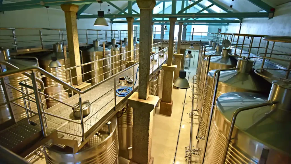 La fermentación alcohólica del vino se produce cuando las levaduras transforman el azúcar de las uvas en etanol